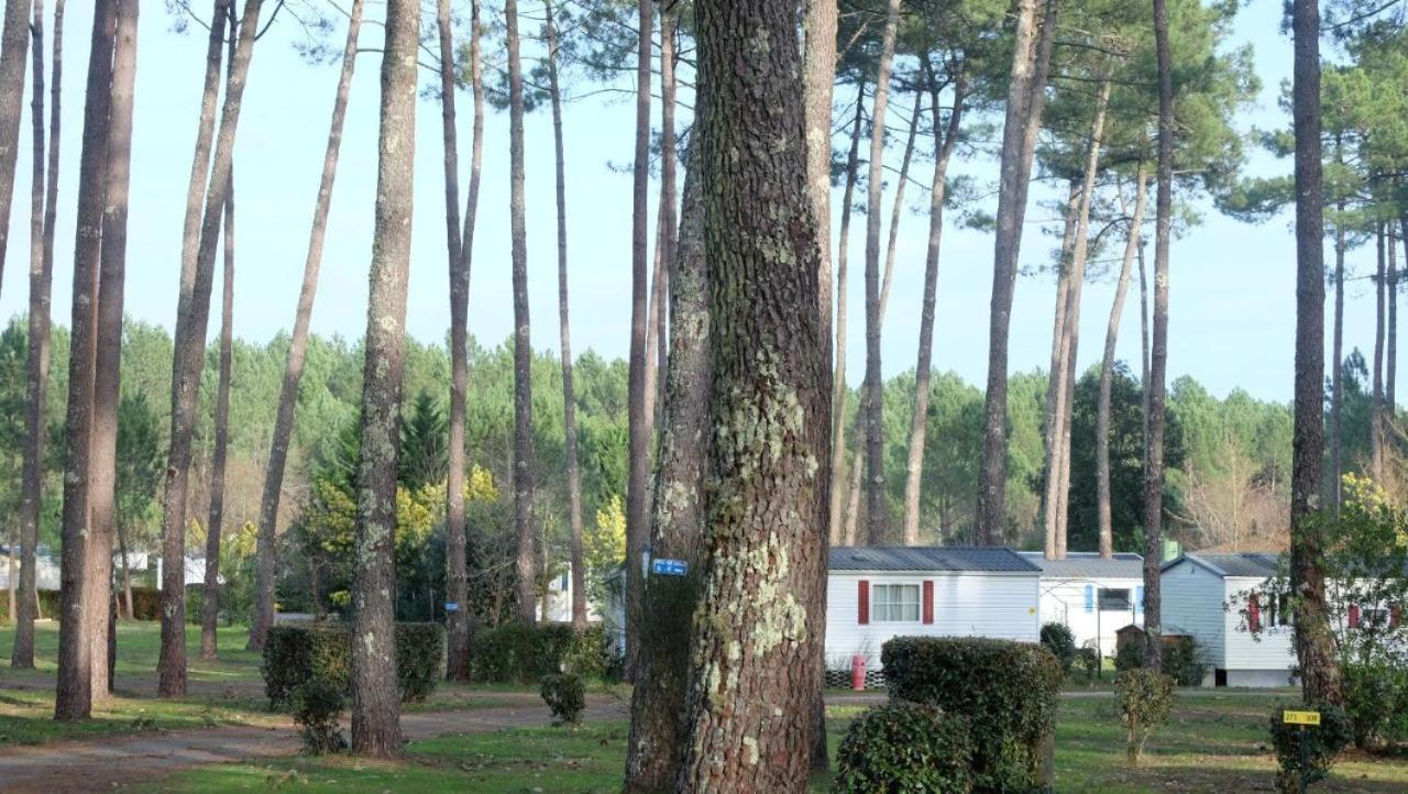 Mobil Home Rainbow, Camping Les Dunes De Contis Saint-Julien-en-Born Oda fotoğraf
